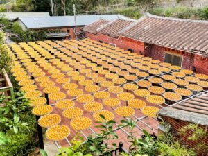 Photo Rooftop farming