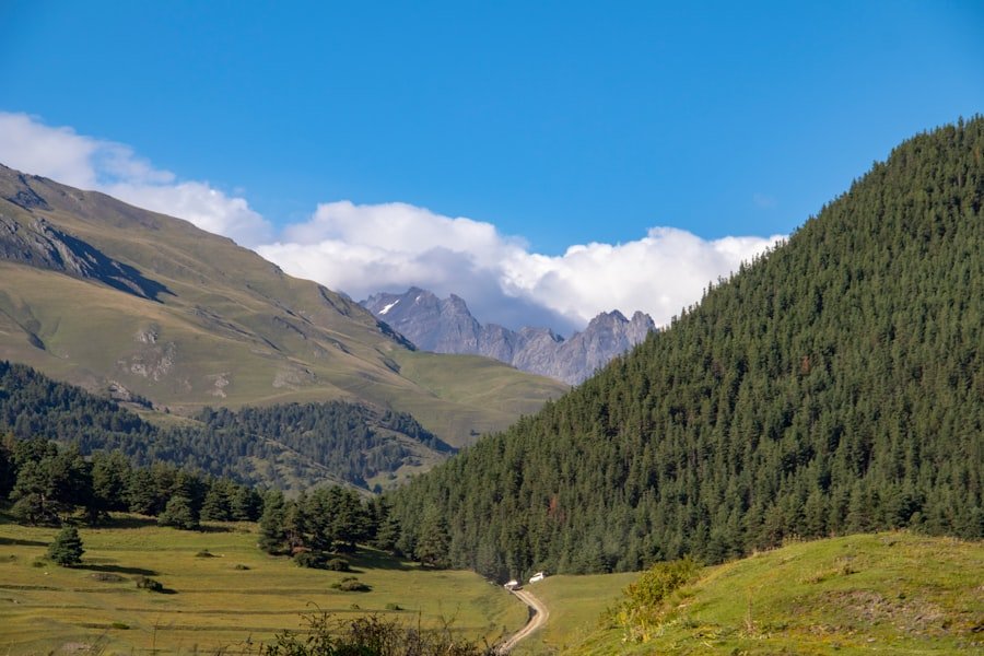 Traditional Villages