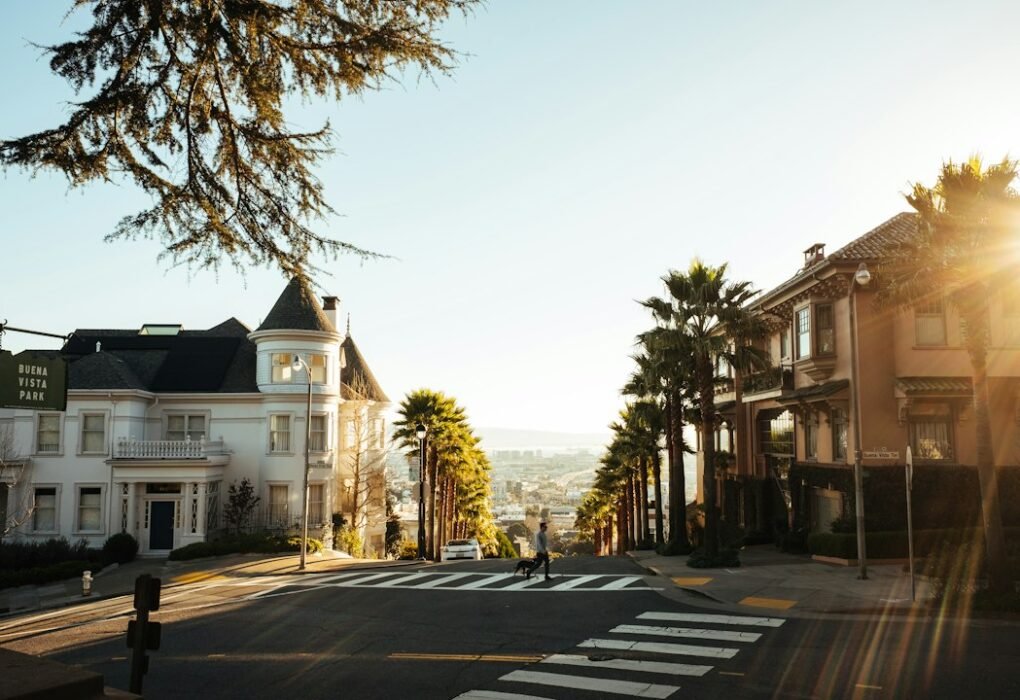 Photo Tax Efficiency