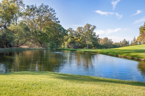 Photo Allocate Capital