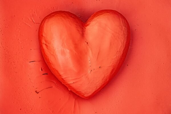 Photo Low-Impact Cardio Routines