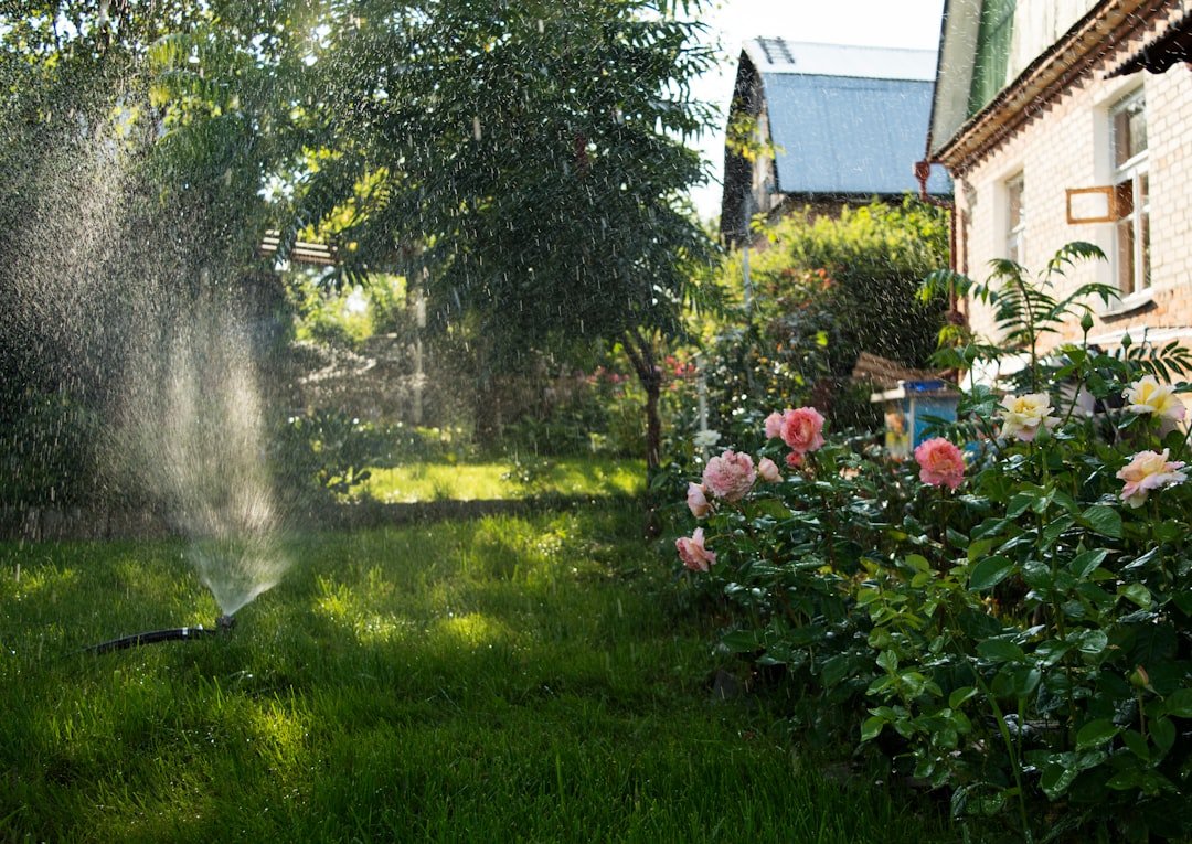 Photo Energy-Efficient Outdoor Irrigation Systems