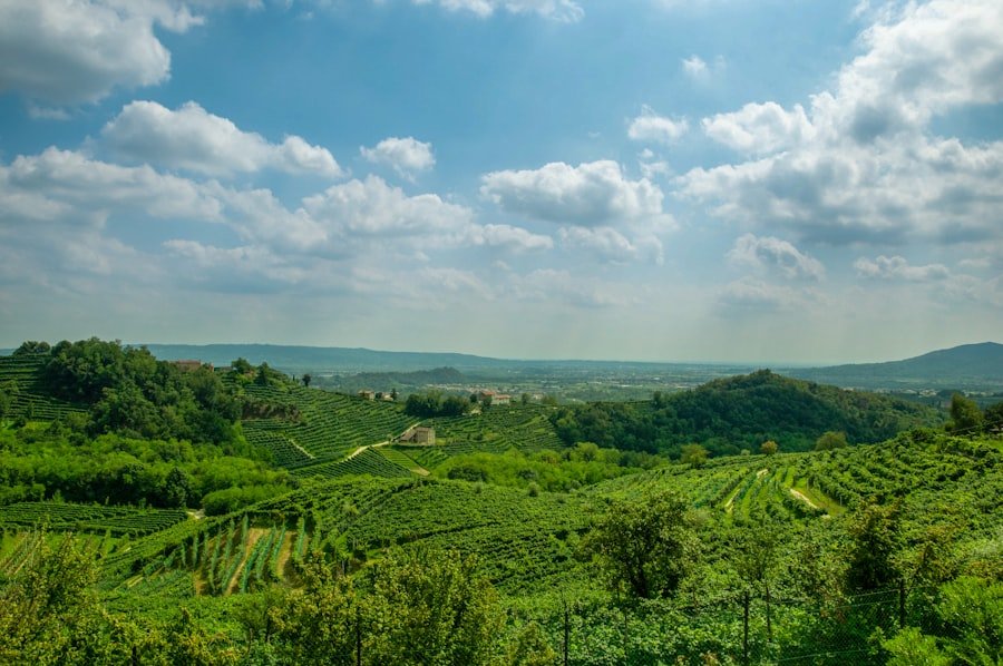 Photo Wine Regions of Tuscany